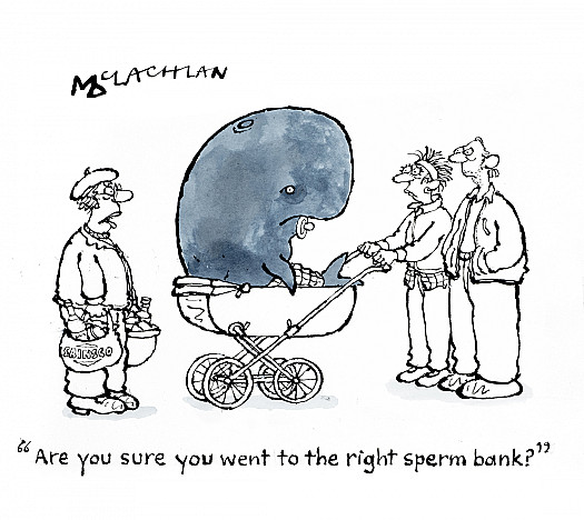Are you sure you went to the right sperm bank?