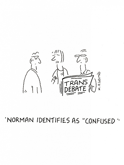 Norman identifies as 'confused'