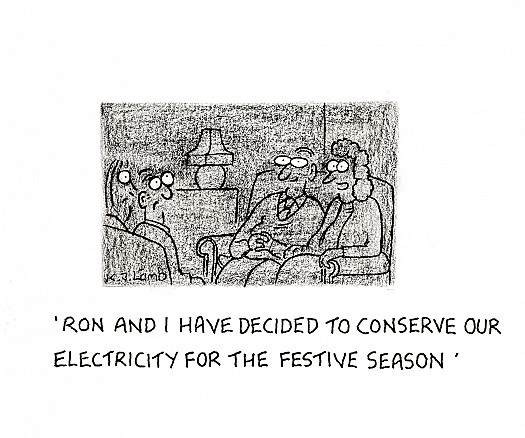 Ron and I have decided to conserve our electricity for the festive season