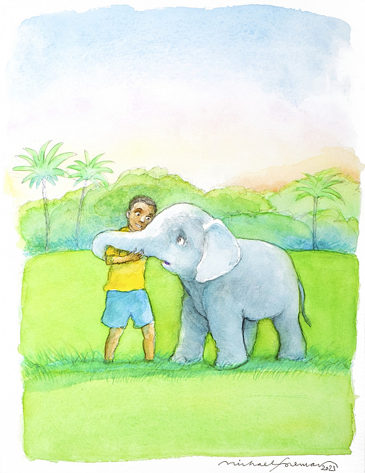 At first the baby elephant was frightened when he saw Noa, but then he recognised his riverbank friend and slowly walked towards him, swinging his trunk and sadly shaking his head from side to side