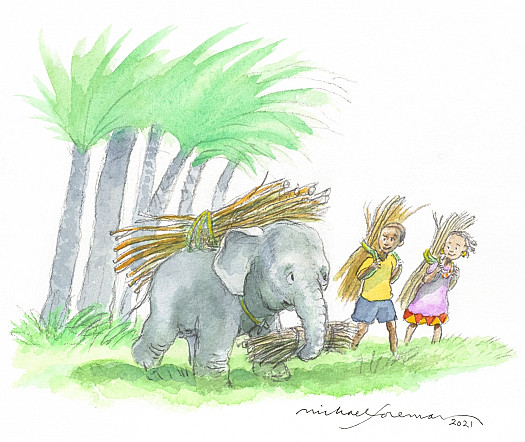 In the next days and weeks, the little elephant became not just part of the family, but part of the village life