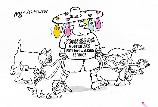CobberdogAustralia's No1 Dog Walking Service