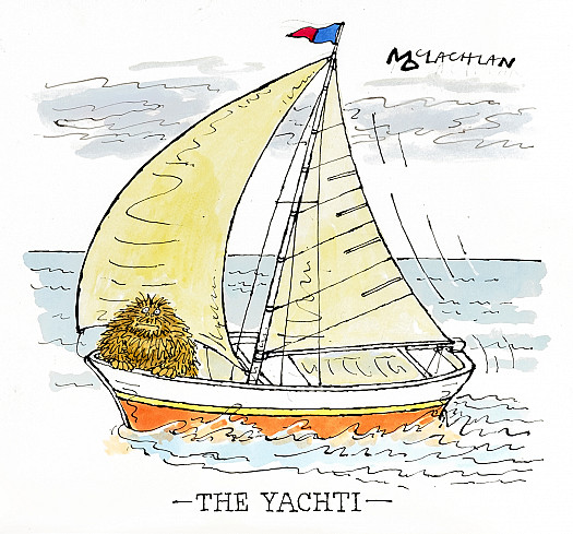 The Yachti