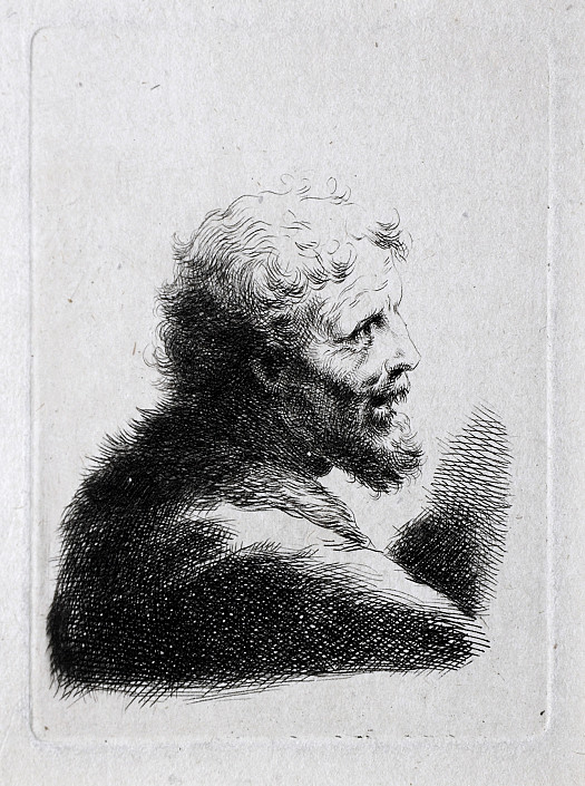 Bearded Man In Profile