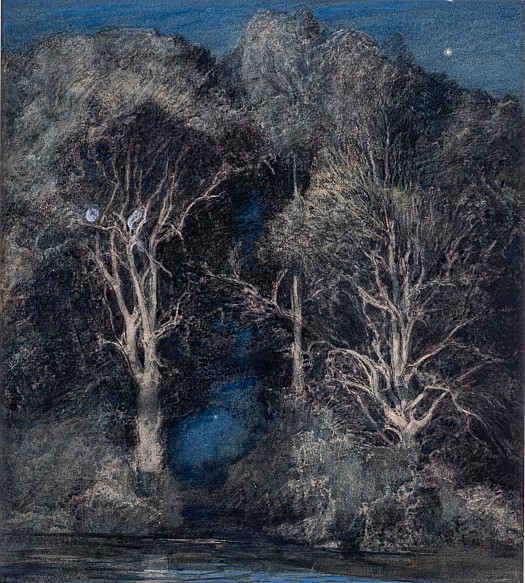Trees, Moonlight