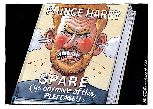 Prince HarrySpare (us any more of this, pleeease!)