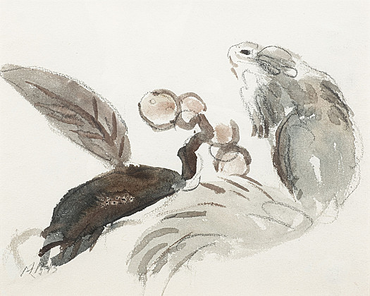 Sketch of a Squirrel, leaf  and blossom