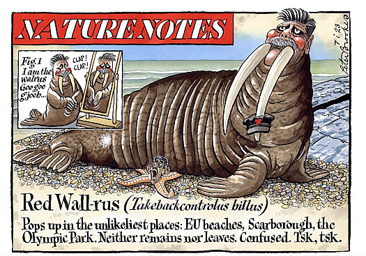 Nature Notes
Red Wall-rus (Takebackcontrolus billus)
