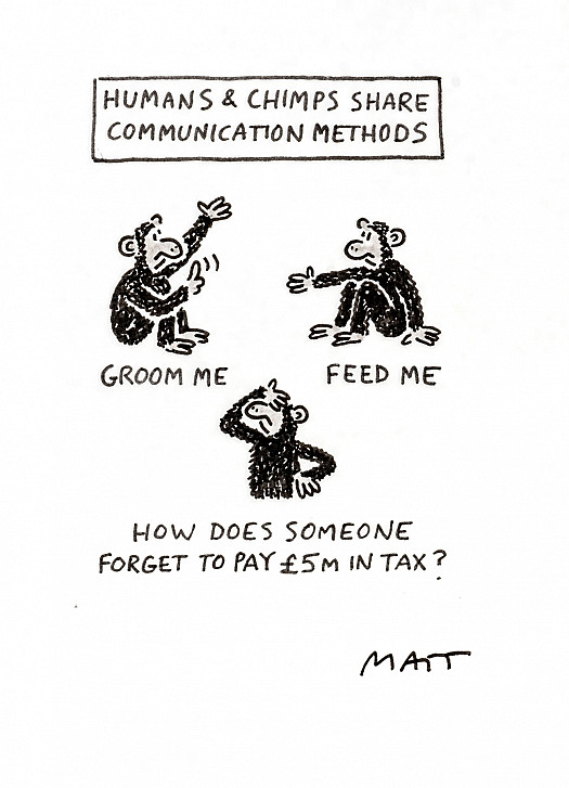 Humans &amp; Chimps Share Communication Methods