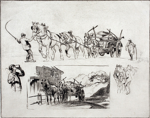 Cart Horses: a Sheet of Studies, C1913