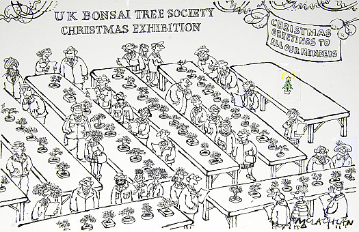 UK Bonsai Tree Society Christmas Ehibition