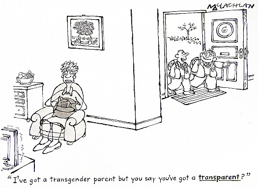 I've Got a Transgender Parent but You Say You've Got a Transparent?
