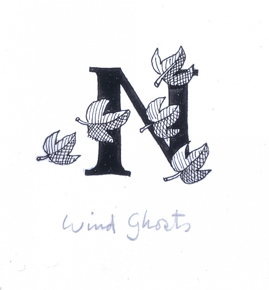 Wind Ghosts