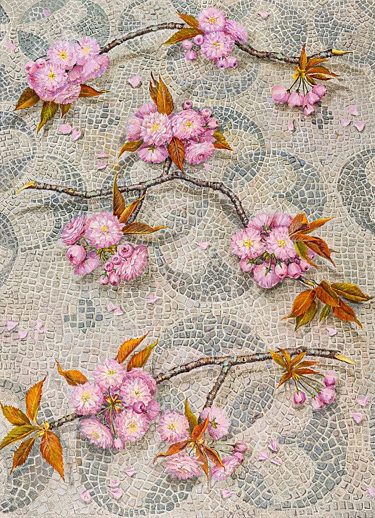 Pink Cherry Blossom on Mosaic