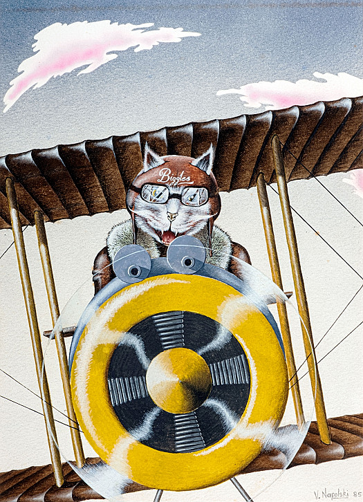 Biggles the Ace Cat Flyer