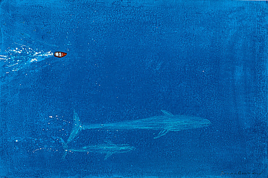 The Blue Whales