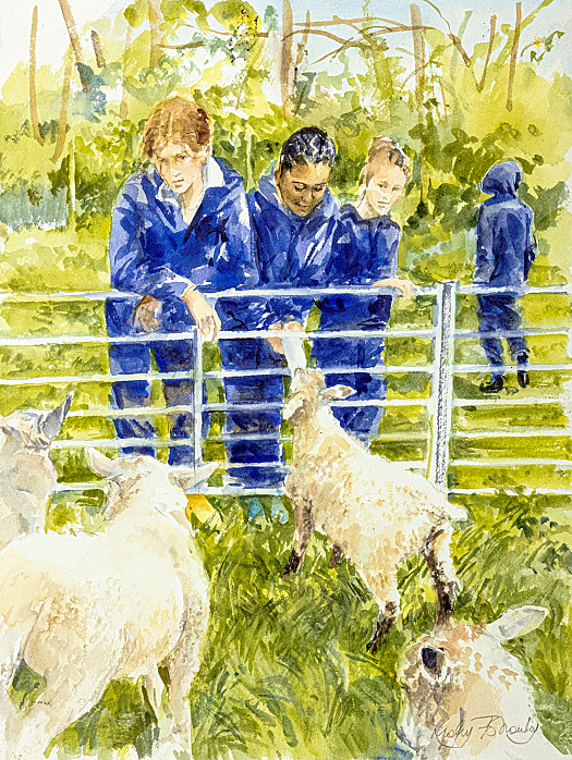 Lambs being bottle fed