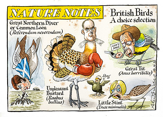 Nature NotesBritish Birds A choice selection