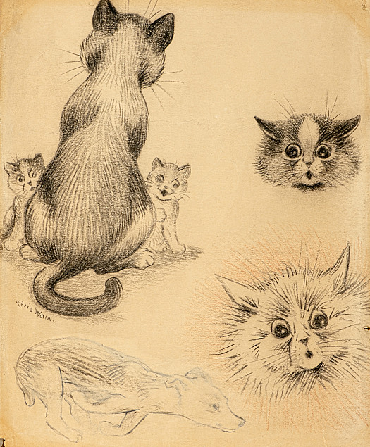 Cats, Kittens and a Running DogStudies from a Sketchbook
