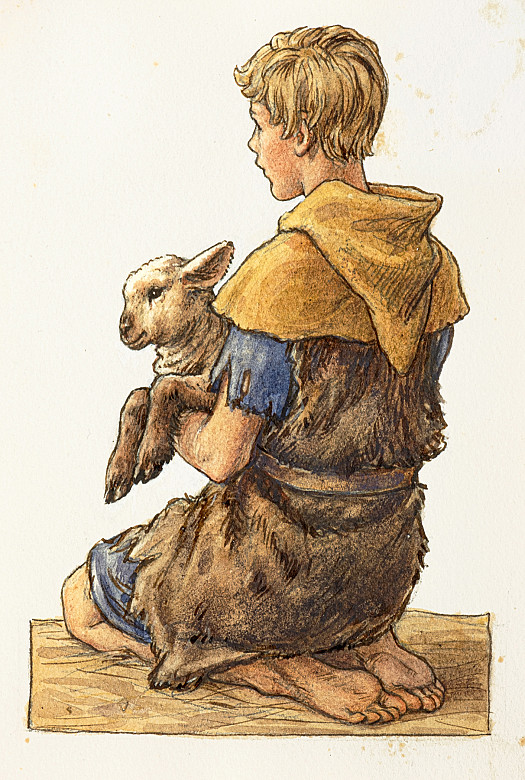 Boy holding a Lamb