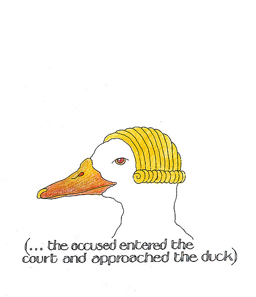(...the Accused Entered the Court and Approached the Duck)