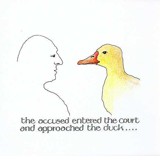 The Accused Entered the Court and Approached the Duck...