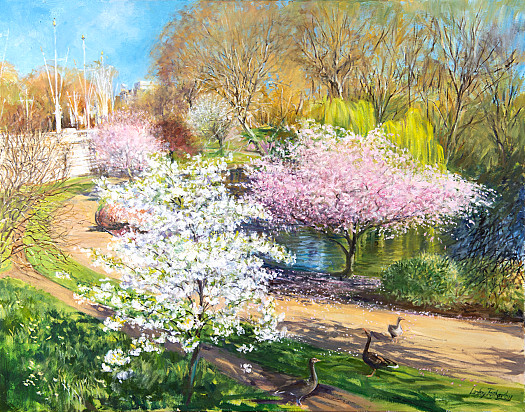 Blossom and Geese, St James's Park