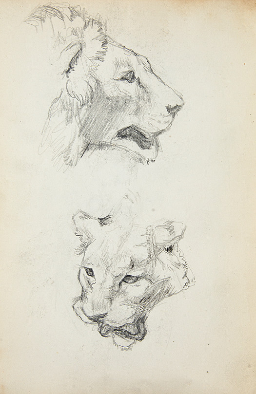 Heads of Lions