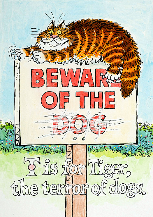 T Is For Tigerthe Terror of Dogs