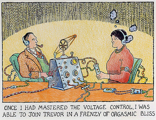 Once I Had Mastered the Voltage Control, I Was Able to Join Trevor In a Frenzy of Orgasmic Bliss