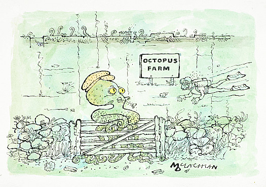 Octopus Farm