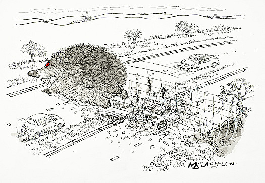 hedgehog's revenge