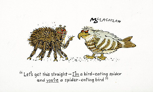 Let's get this straight - I'm a bird-eating spider and you're a spider-eating bird