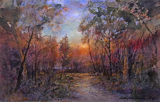 Sunset In a Wood In Provence