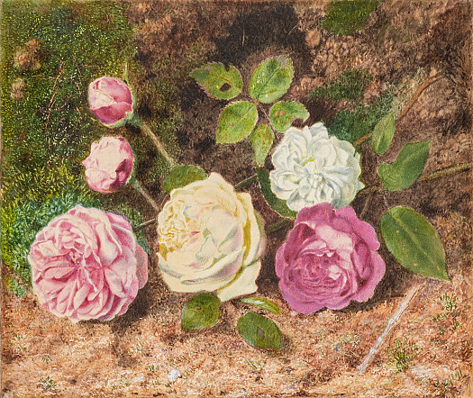 Roses on a Mossy Bank