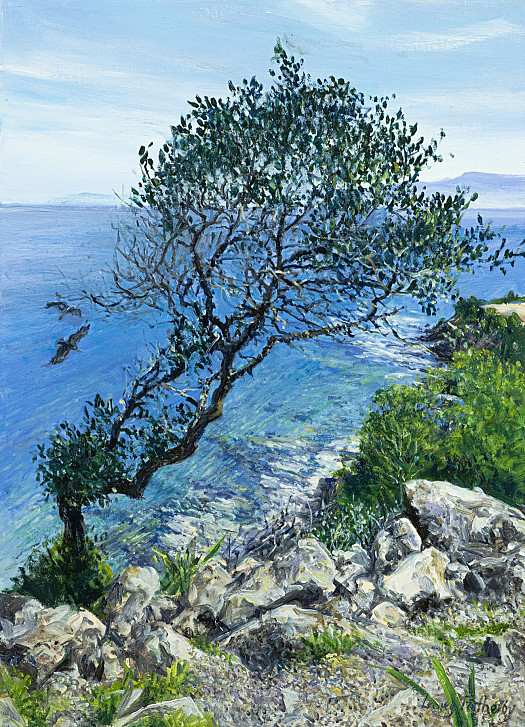 Tree, The Bay of Aphrodite