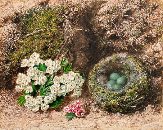 Forest Floor Still Life with Blossom