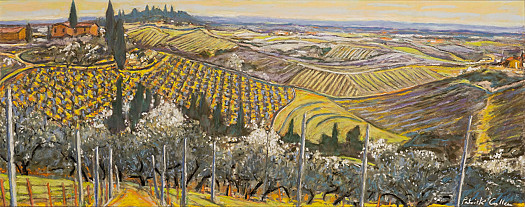 Patterned Landscape near Baccio, Tuscany