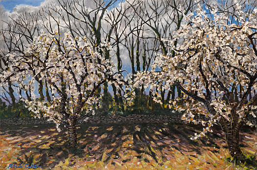 Two Cherry Trees in March, Provence