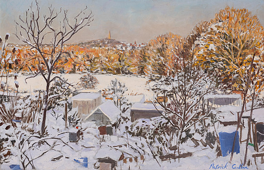Allotments in the Snow, Towards Muswell Hill