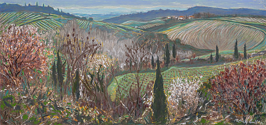 Vineyards in April, Tuscany