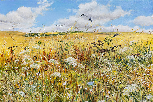 Harvest Fields with Blue Butterfly