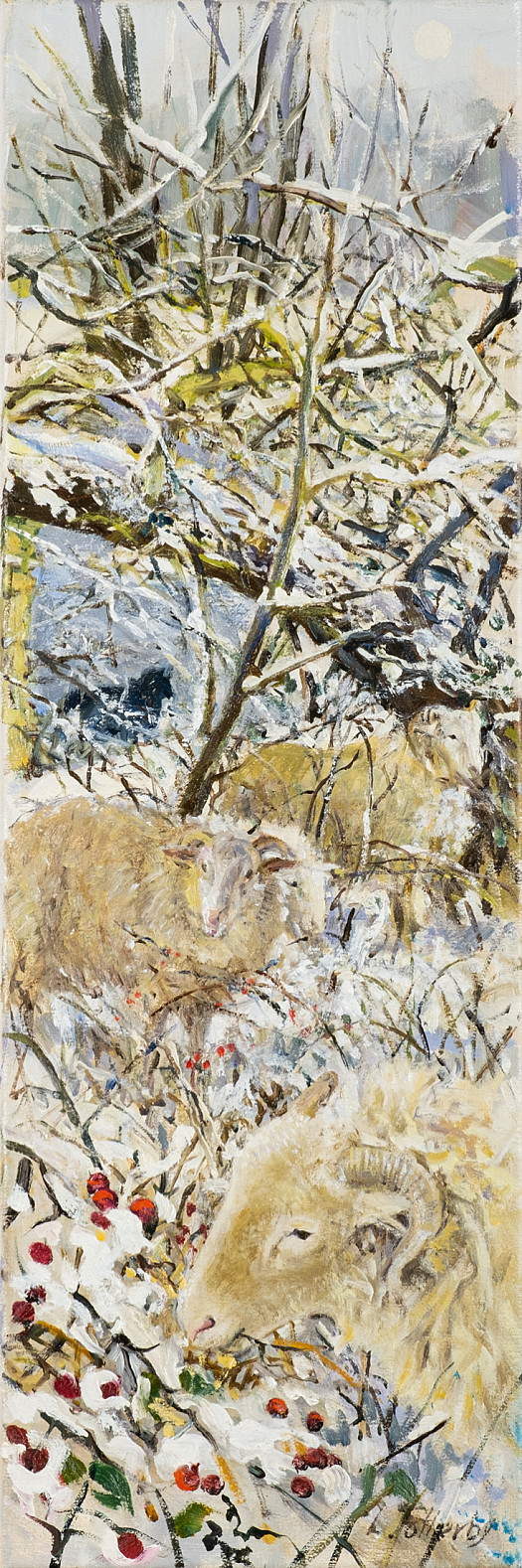 Sheep Grazing in the Snow