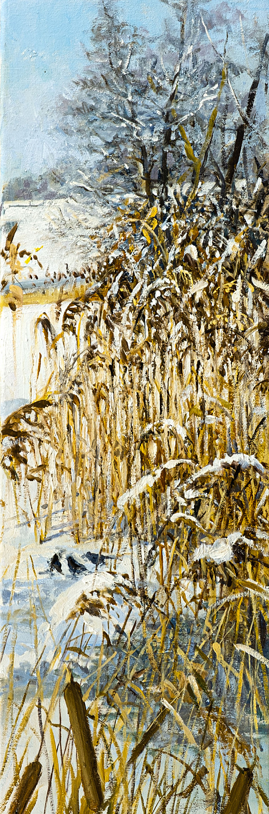 Frozen Reeds, Wimpole