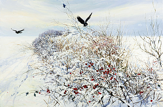 Berries Across the Winter Landscape