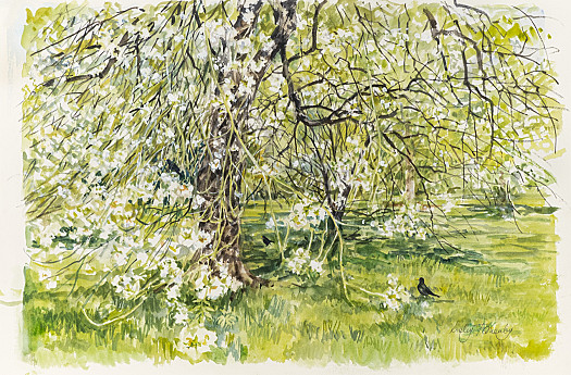 April, Kew Gardens
