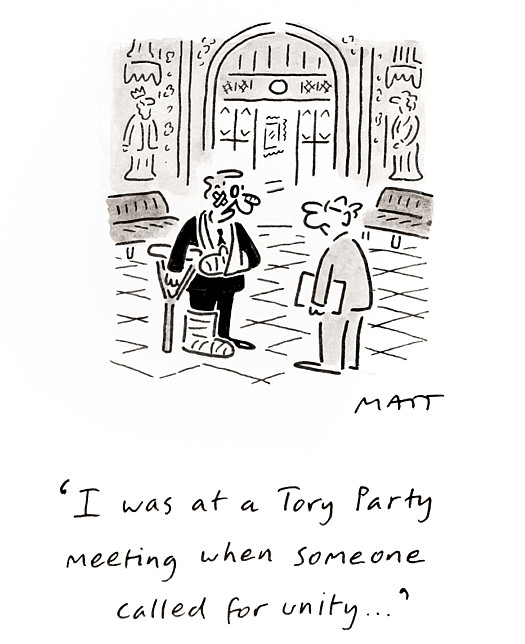 I was at a Tory Party meeting when someone called for unity ...