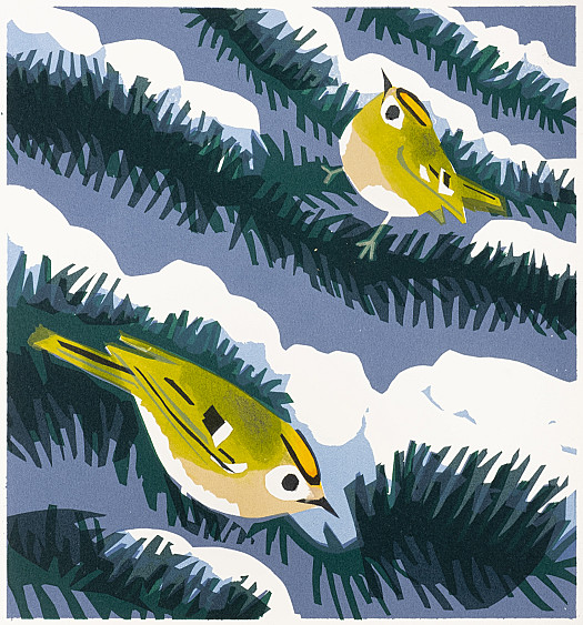 Goldcrest