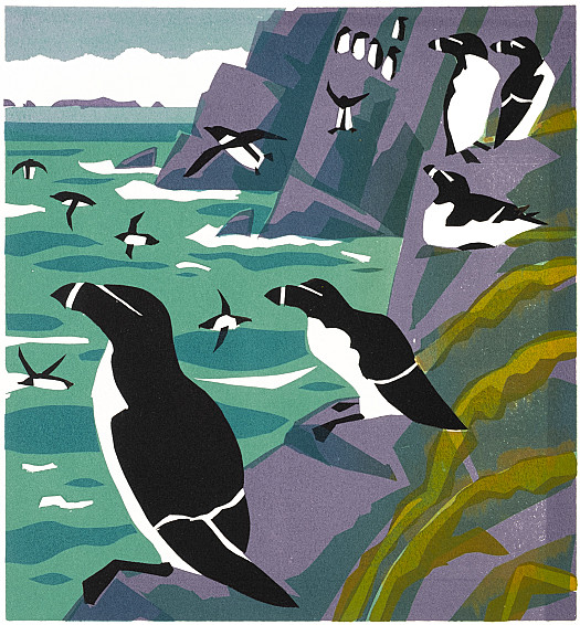 Razorbills