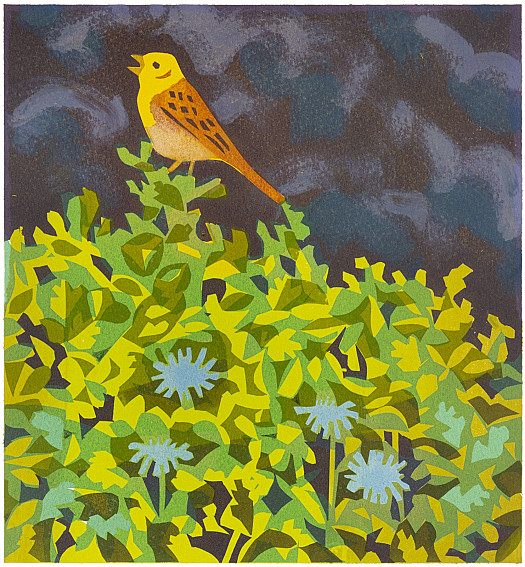 Yellowhammer